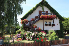 Apartment Route du Vin Centre Alsace